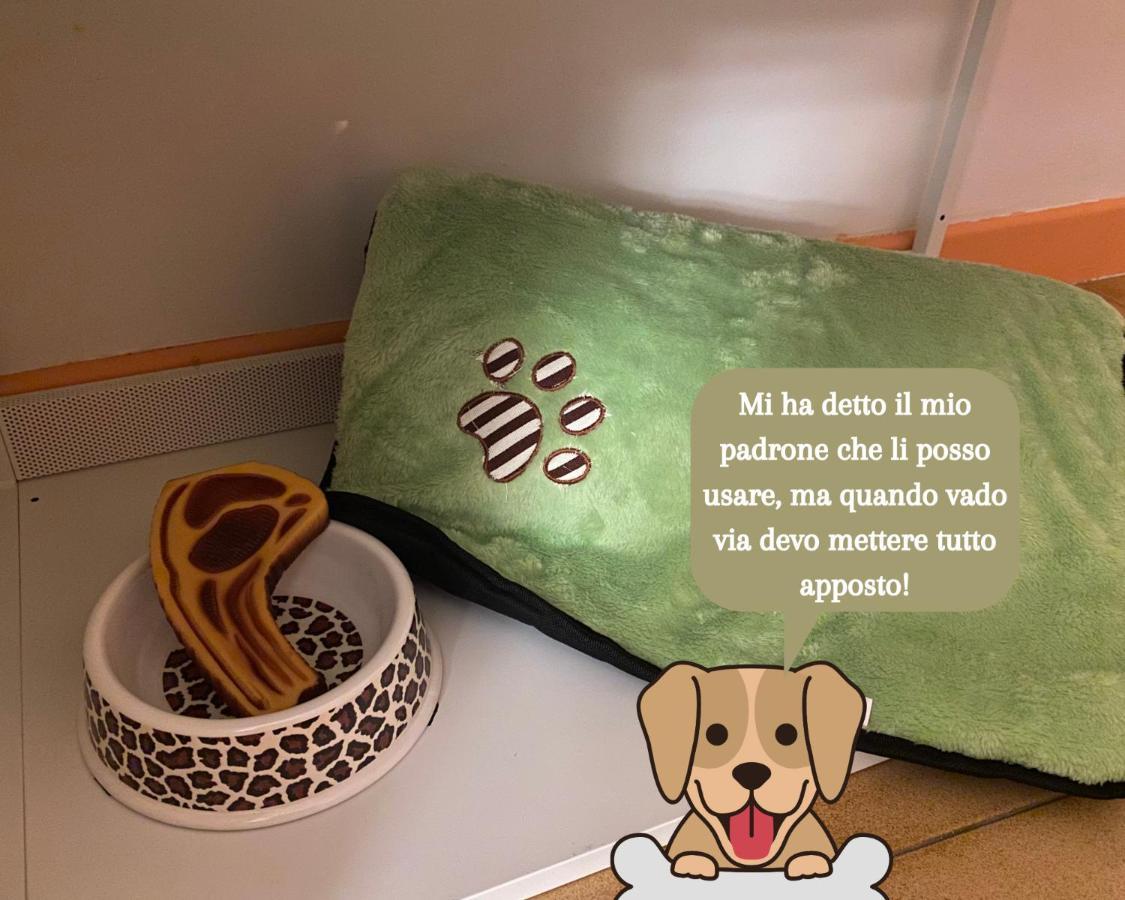 Coolarthome * Parma